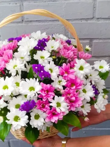 Arrangement 