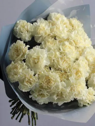 Bouquet «Sleeping Beauty»