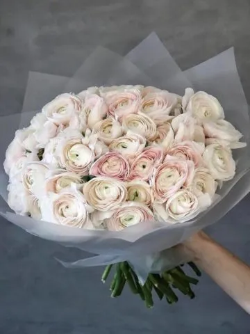 Bouquet 