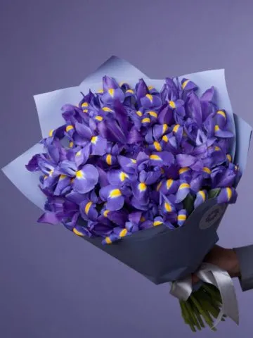 Bouquet 