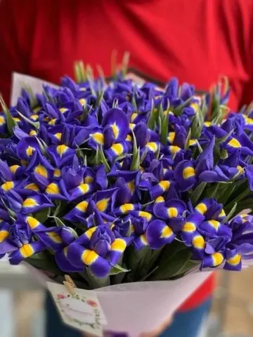 Bouquet 
