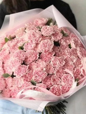Bouquet of pink carnations