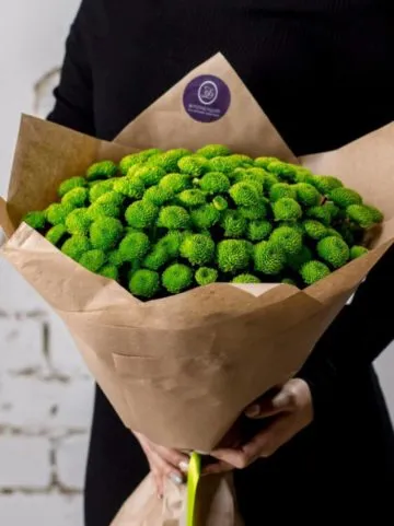 Bouquet with green chrysanthemum
