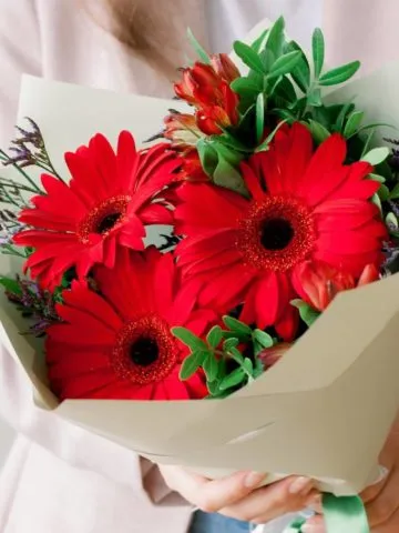 Bouquet 
