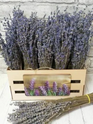 Lavender in a box