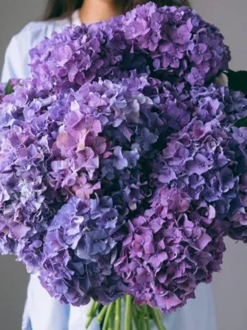 Bouquet with purple hydrangea
