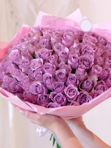 101 purple rose