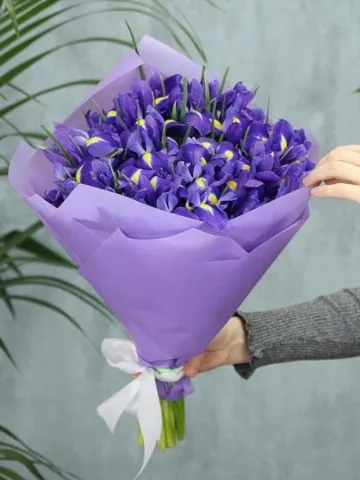 Bouquet 
