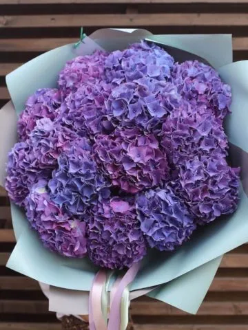 Bouquet of 15 hydrangeas