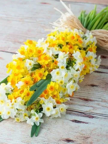Bouquet 'Brightness'