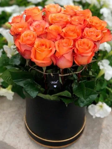 25 orange roses in a box