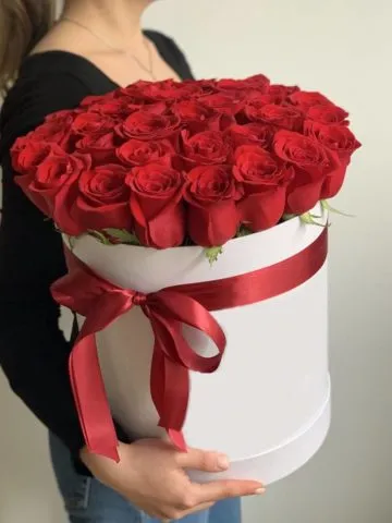 Arrangement 