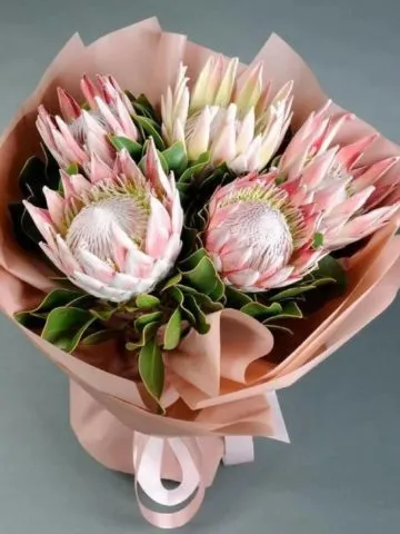 Bouquet 