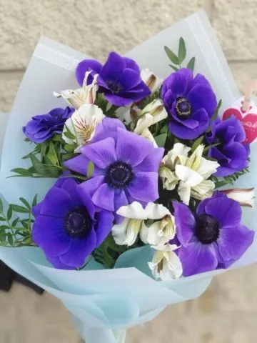 Bouquet 