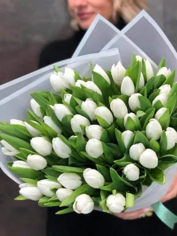 Bouquet 