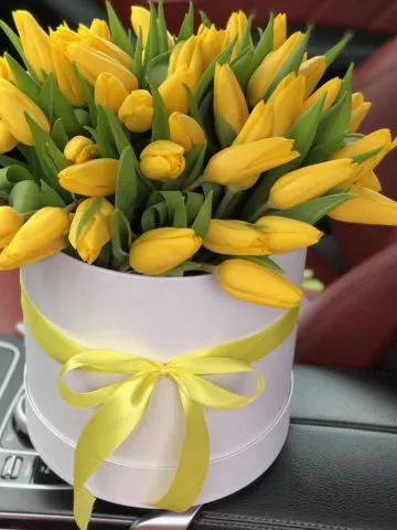 Yellow tulips in a box