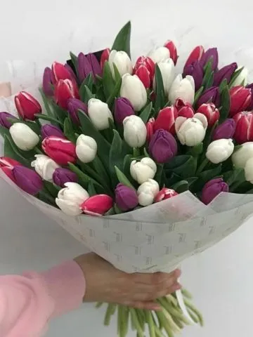 Bouquet 