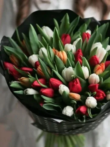 Bouquet 