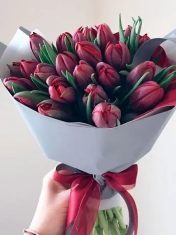Bouquet of burgundy tulips