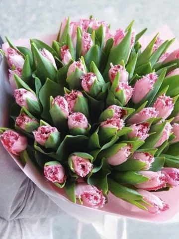 Bouquet of Terry Tulips