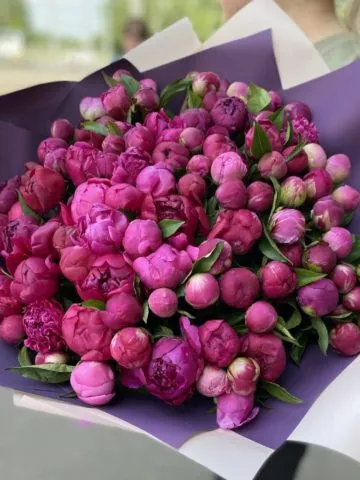 Bouquet 