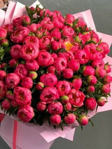 Bouquet 
