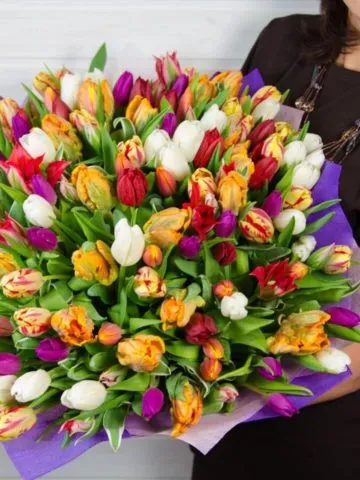 Bouquet «Serenade»