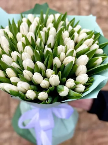 101 white tulip