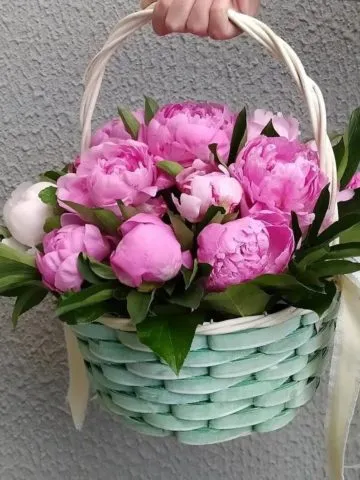 Arrangement «Fusion»
