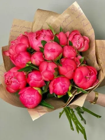 Bouquet 