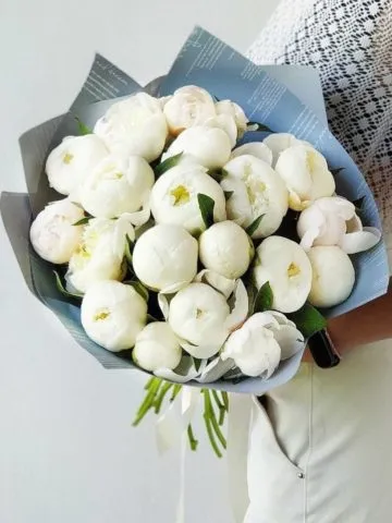 Bouquet 
