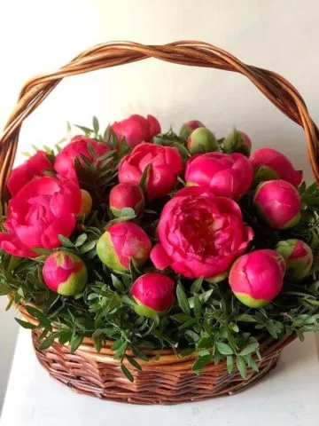 Arrangement 
