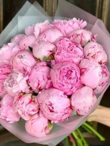 Bouquet 