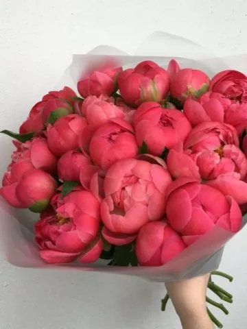 Bouquet 
