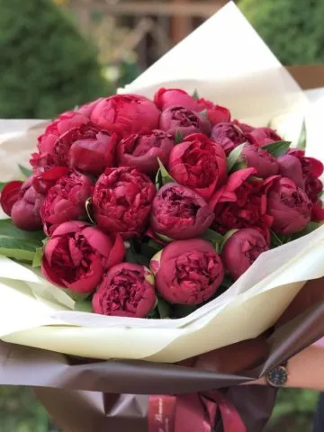 Bouquet «Spring is red»