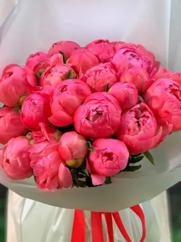 Bouquet 