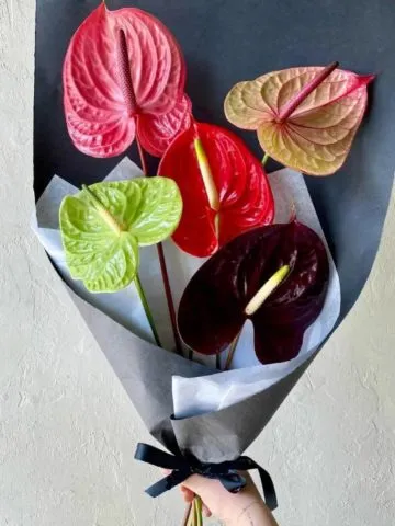 Bouquet 'Watercolor'