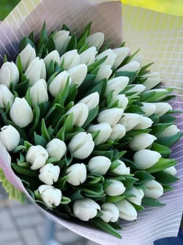 Bouquet 