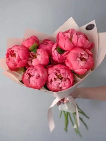 Bouquet 
