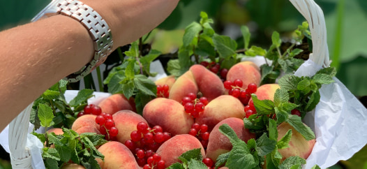 Корзины с фруктами