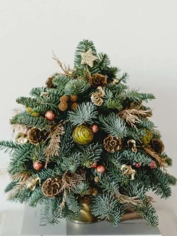 Christmas tree 'New Year Beauty'